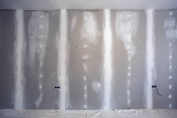 Best Water Damage & Mold Remediation  in San Buenaventura, CA